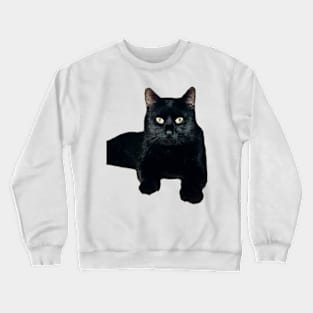 The gourmet cat Crewneck Sweatshirt